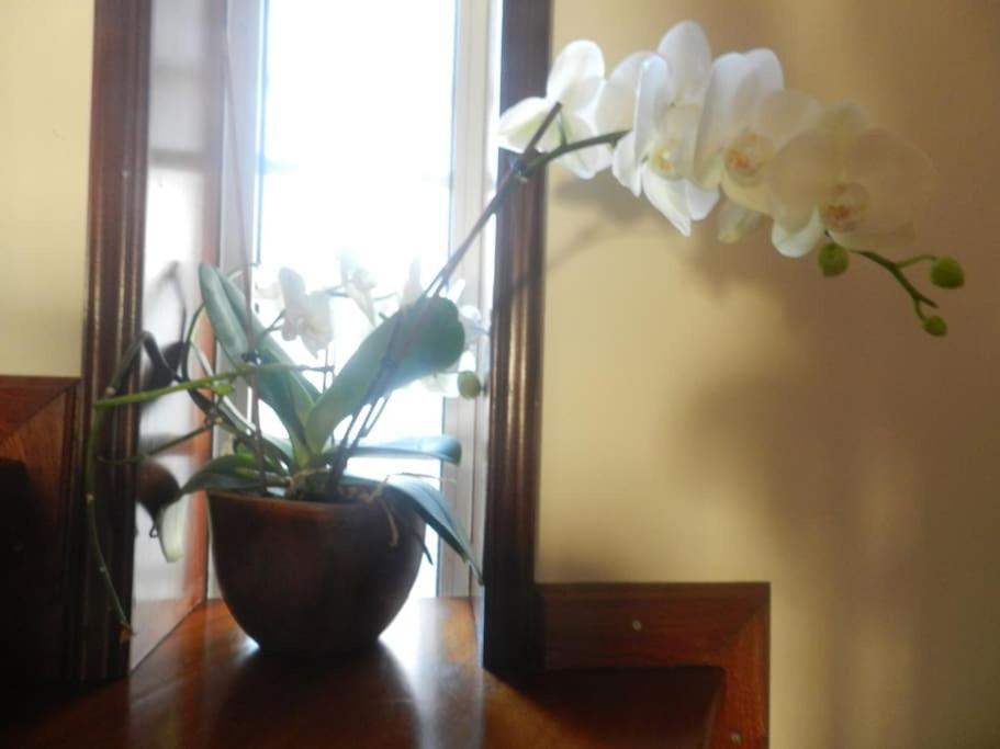 Jp Guest House Авейру Экстерьер фото